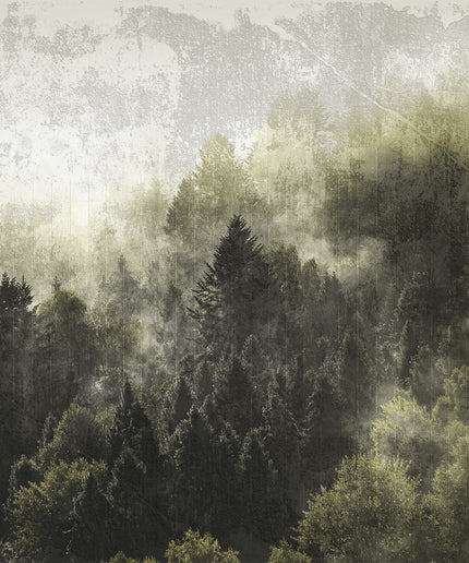 Prabangūs foto tapetai, Premium klasės, freskos iš "Lorenso" - dizainas MISTWOOD. TPL-1123-0019-02