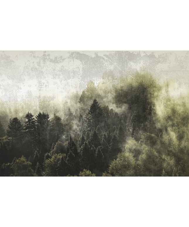Prabangūs foto tapetai, Premium klasės, freskos iš "Lorenso" - dizainas MISTWOOD. TPL-1123-0019-02