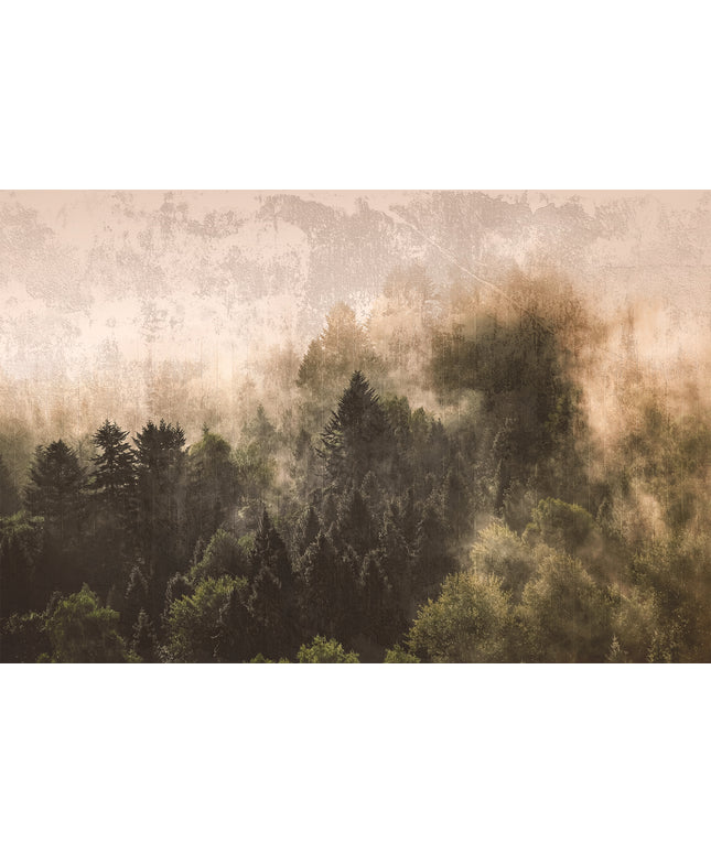 Prabangūs foto tapetai, Premium klasės, freskos iš "Lorenso" - dizainas MISTWOOD. TPL-1123-0019-04