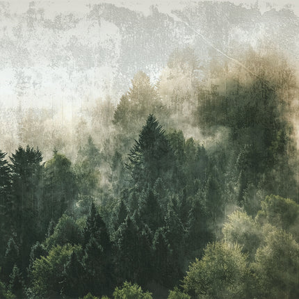 Collection image for: Augaliniai motyvai