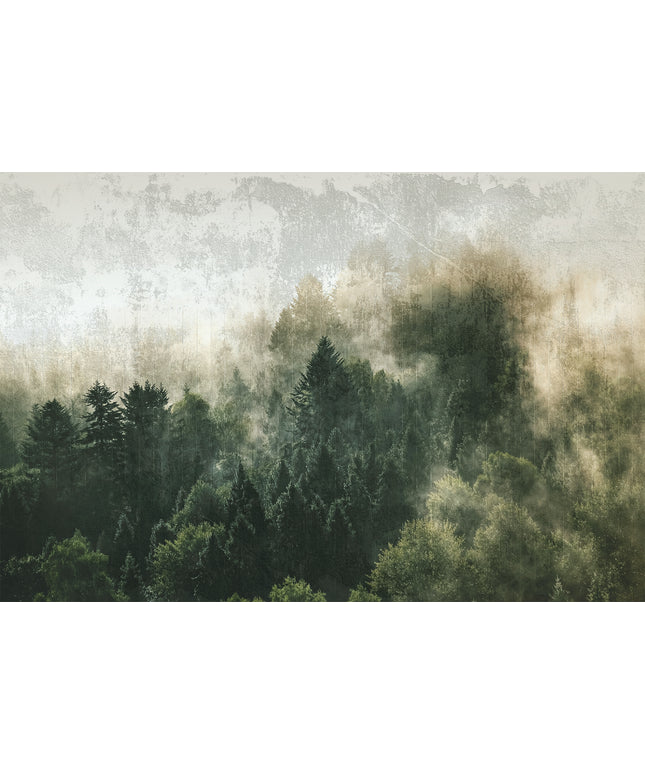 Prabangūs foto tapetai, Premium klasės, freskos iš "Lorenso" - dizainas MISTWOOD. TPL-1123-0019-05
