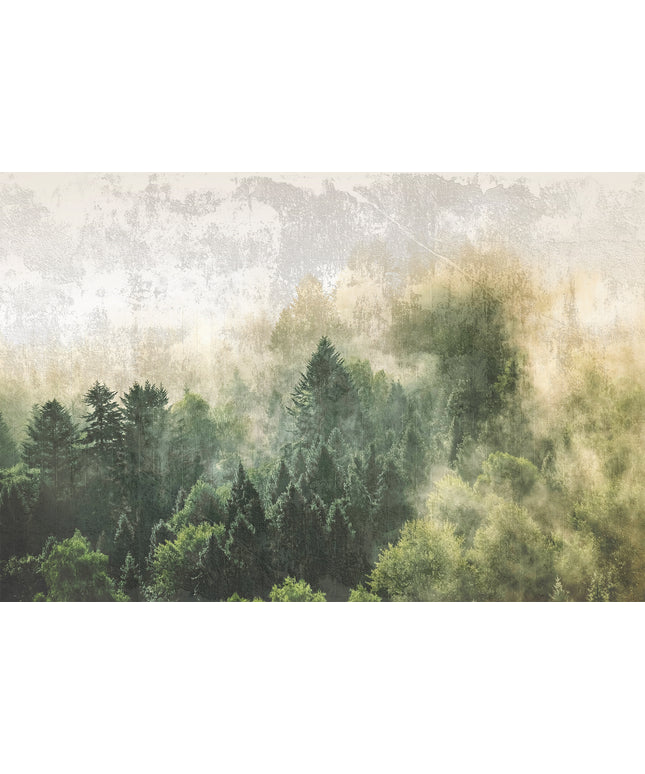 Prabangūs foto tapetai, Premium klasės, freskos iš "Lorenso" - dizainas MISTWOOD. TPL-1123-0019-06