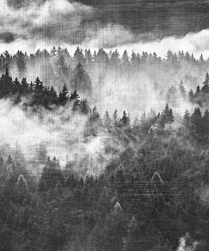 Prabangūs foto tapetai, Premium klasės, freskos iš "Lorenso" - dizainas MISTERIAL. TPL-1123-0021-02