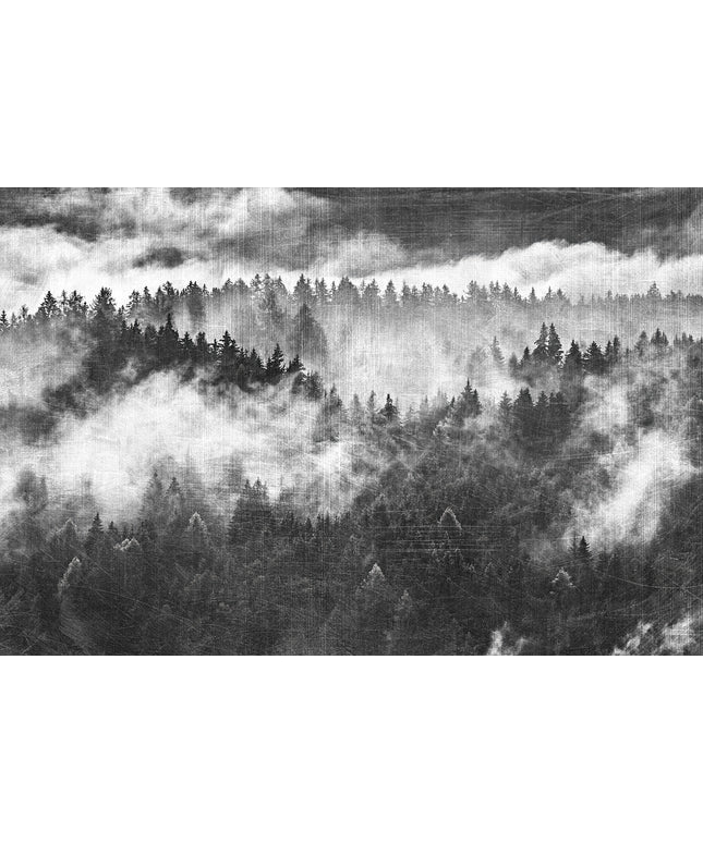 Prabangūs foto tapetai, Premium klasės, freskos iš "Lorenso" - dizainas MISTERIAL. TPL-1123-0021-02