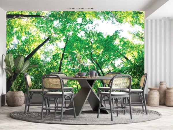 Fototapetas, gamta, medžiai – 95354285